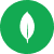 MongoDB